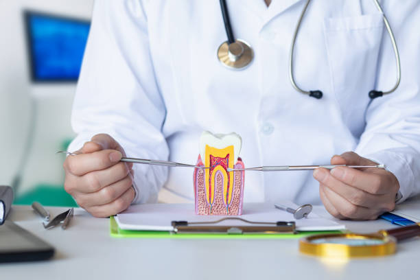 Best Affordable Emergency Dental Care  in Ponchatou, LA